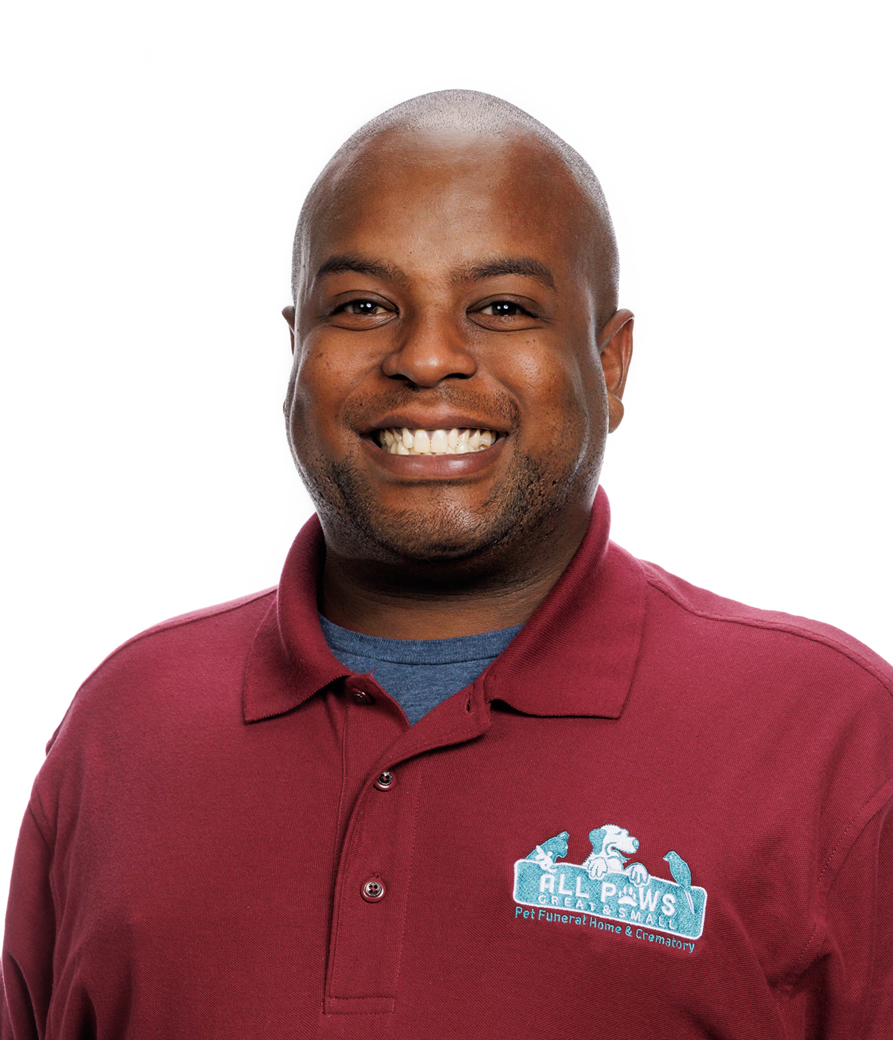 Craig Willis : All Paws Director