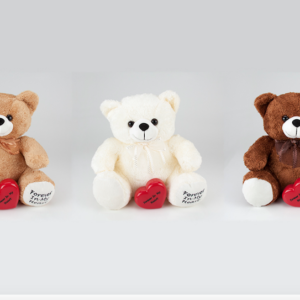 Teddy Bear Keepsake