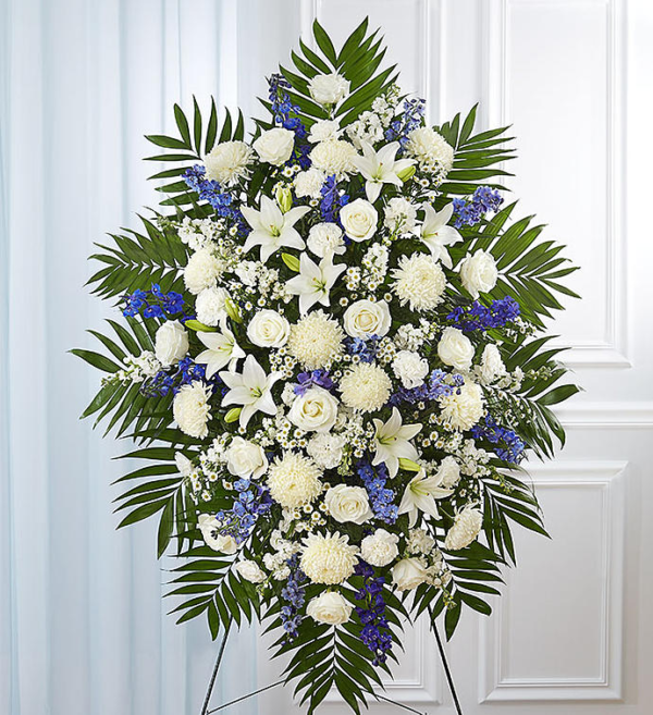 Blue & White