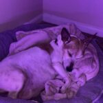 libby dehoyos Gallery