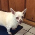 bd higginbotham Gallery