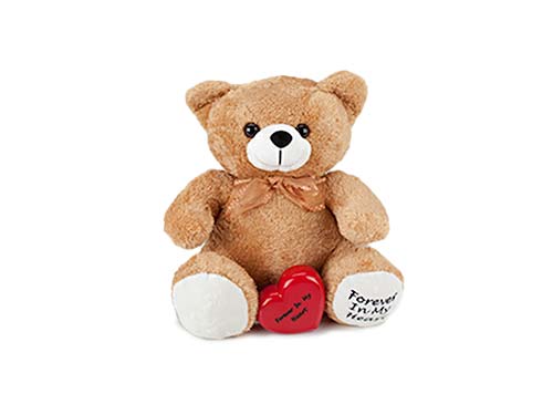 Teddy Bear Keepsake - Tan