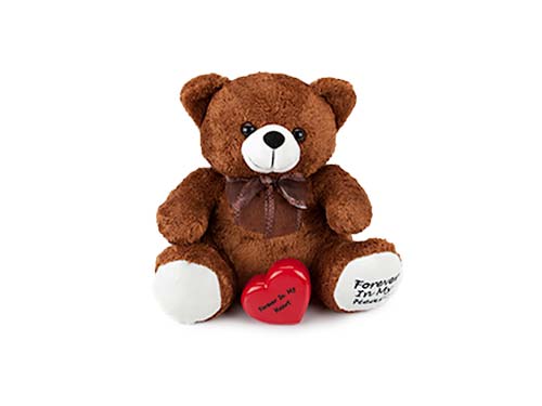 Teddy Bear Keepsake - Brown