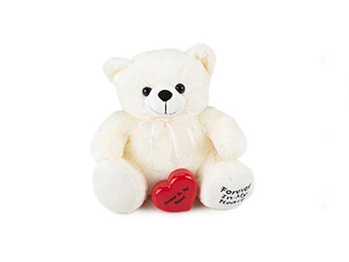 Teddy Bear Keepsake - White