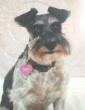 lola coan