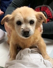 nala mendoza