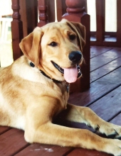 duke gaspar