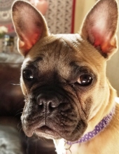 lola garcia