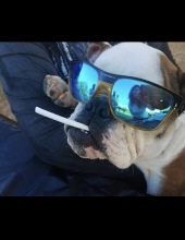 boujeebear bunthnpie acosta-torres