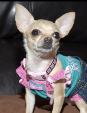 princess de la torre gonzalez