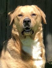 clyde mateos