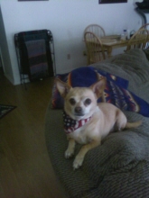 skippy jesser