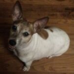 libby dehoyos Gallery