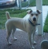 lucky lade ledbetter