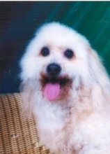 charles (charlie) perez