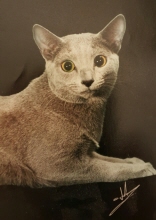 rimski cruz
