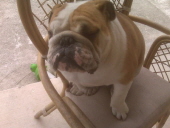 munchie mcintosh