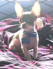 rigby cruz