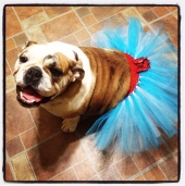 dorothy gale frazier