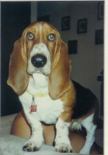 little's nixon