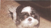 prissy wagley