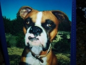tyson ottea