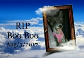 boo boo gruetzmacher