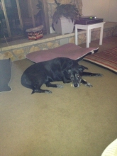gretta gru mccorkle