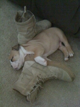 gunner rodriguez