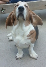tucker boy duran
