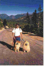 kodi and budi hernandez