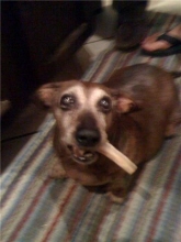 frankie moczygemba