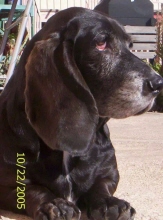 hershey leos-garcia