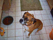 butkus hernandez