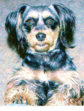 pebbles holley