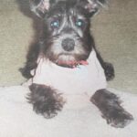 savannah moye Gallery