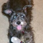 savannah moye Gallery