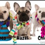 chloe morgan Gallery