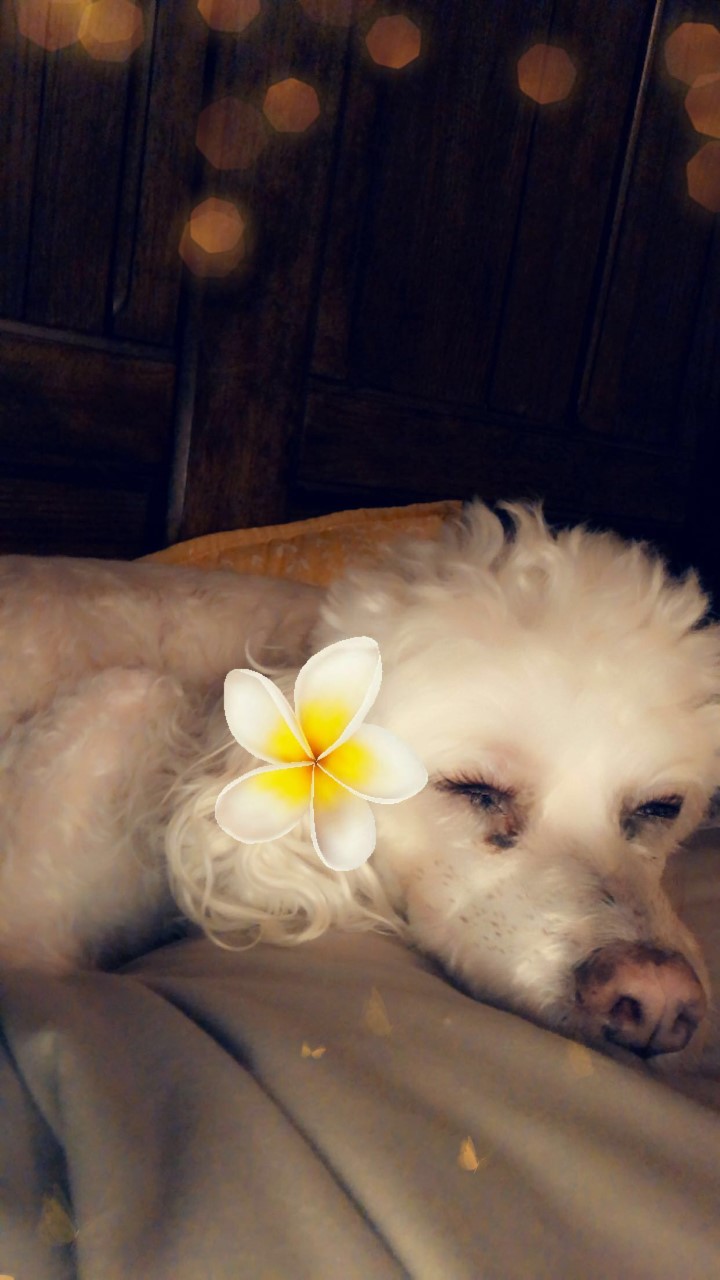 mamas martinez