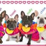 chloe morgan Gallery