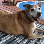 luke moreno-pierce Gallery