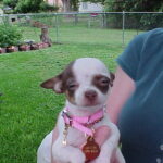 minnie williams Gallery