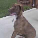 luke moreno-pierce Gallery