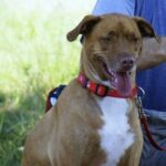 luke moreno-pierce Gallery