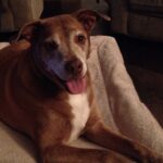 luke moreno-pierce Gallery