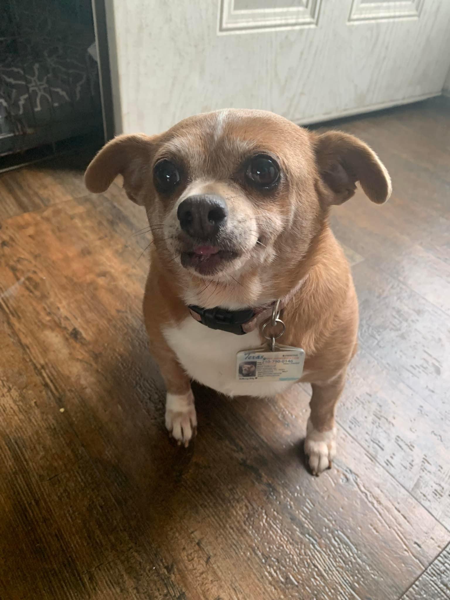 buttercup zapata