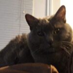 gracie kat lopez Gallery