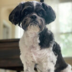 buddy zamudio Gallery