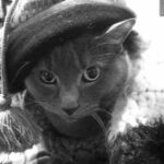 gracie kat lopez Gallery