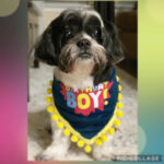 buddy zamudio Gallery